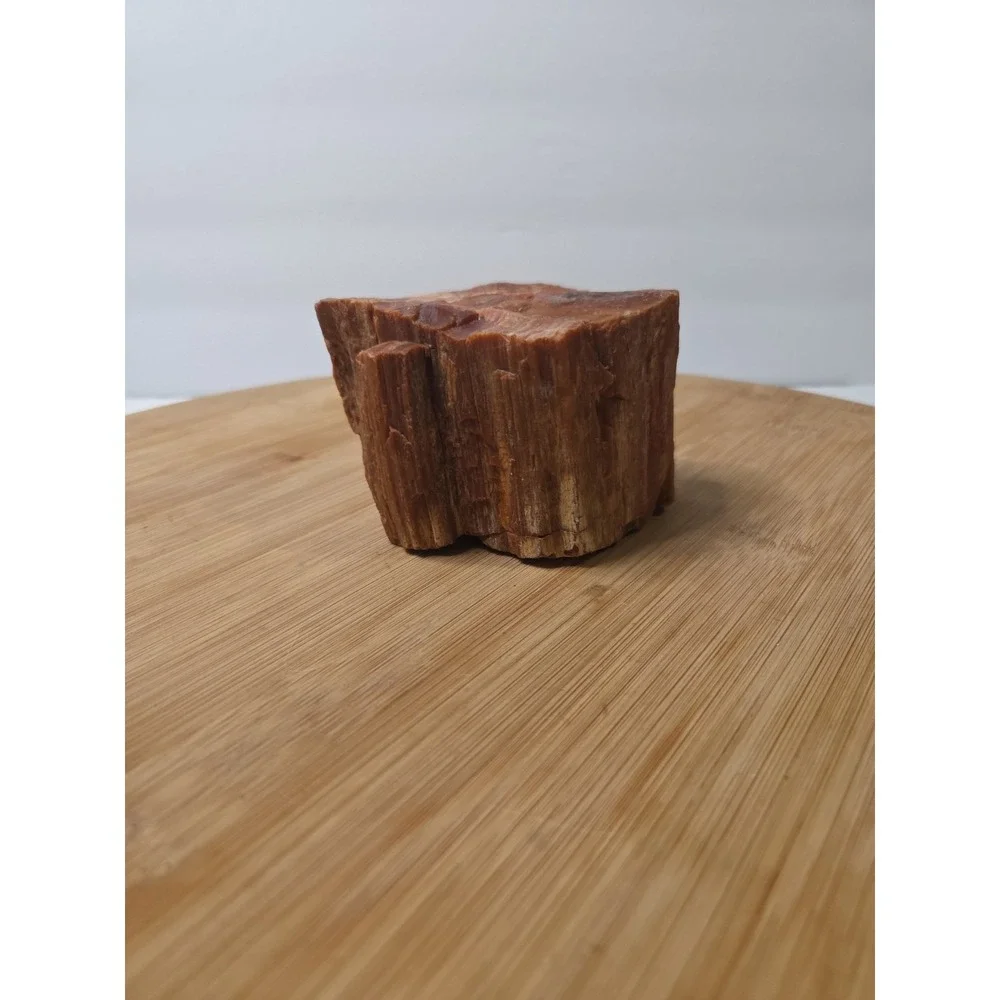 Natural Raw Petrified Wood Specimen Fossil 1.5 lbs 4